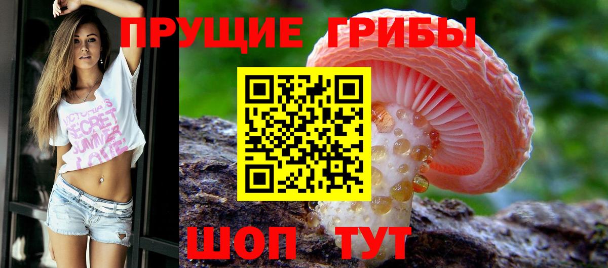 Псилоцибиновые грибы мицелий Анжеро-Судженск